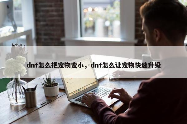 dnf怎么把宠物变小，dnf怎么让宠物快速升级