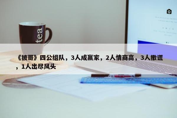 《披哥》四公组队，3人成赢家，2人情商高，3人撒谎，1人出尽风头