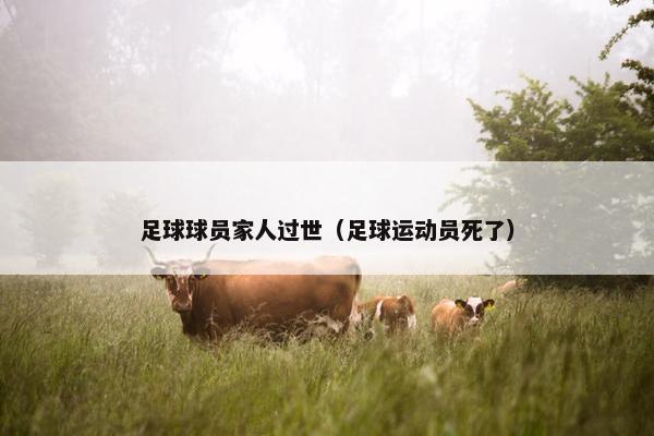 足球球员家人过世（足球运动员死了）