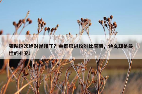 狼队这次绝对是赚了？兰德尔进攻难比唐斯，迪文却是最佳的补充！