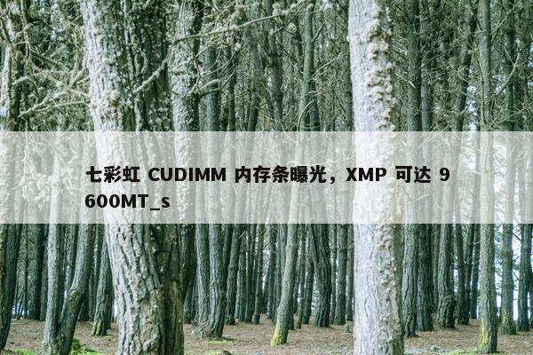 七彩虹 CUDIMM 内存条曝光，XMP 可达 9600MT_s