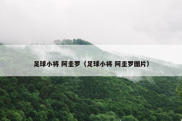 足球小将 阿圭罗（足球小将 阿圭罗图片）