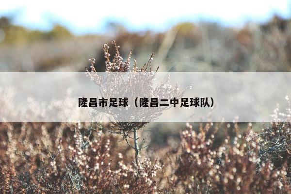 隆昌市足球（隆昌二中足球队）