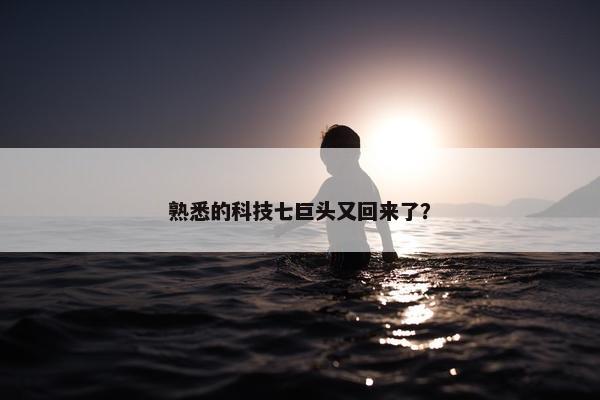 熟悉的科技七巨头又回来了？