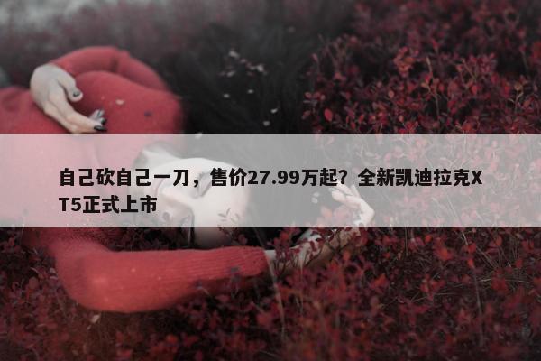 自己砍自己一刀，售价27.99万起？全新凯迪拉克XT5正式上市