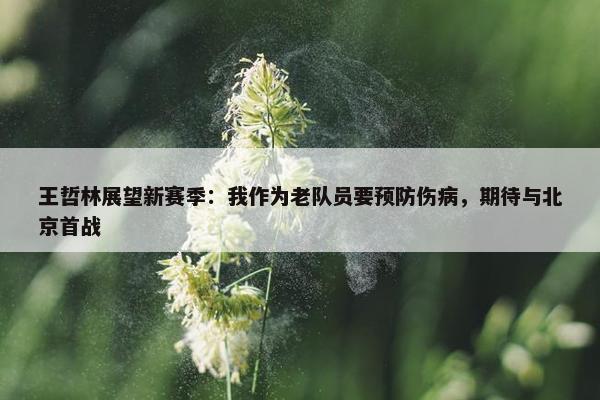 王哲林展望新赛季：我作为老队员要预防伤病，期待与北京首战