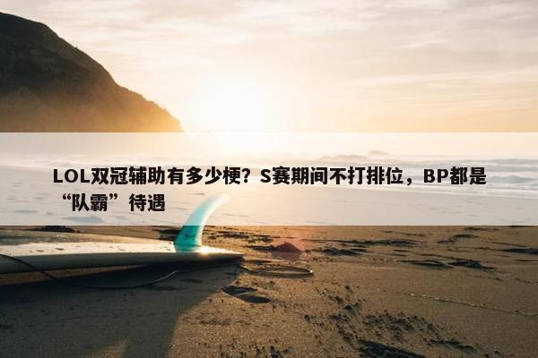 LOL双冠辅助有多少梗？S赛期间不打排位，BP都是“队霸”待遇