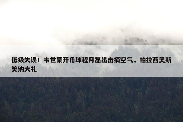 低级失误！韦世豪开角球程月磊出击摘空气，帕拉西奥斯笑纳大礼