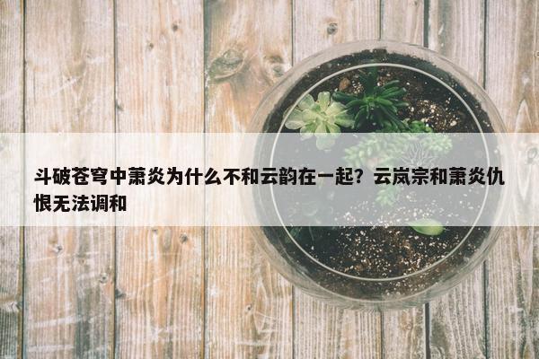 斗破苍穹中萧炎为什么不和云韵在一起？云岚宗和萧炎仇恨无法调和