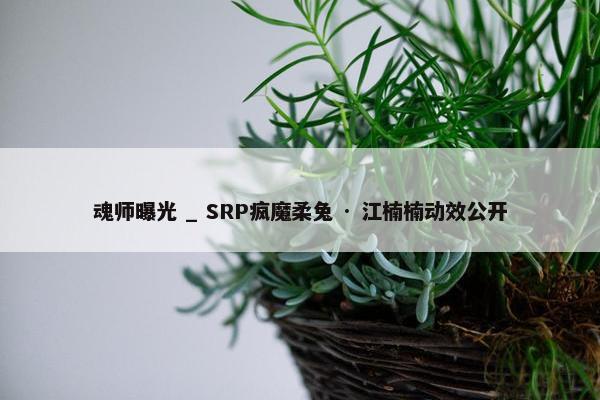 魂师曝光 _ SRP疯魔柔兔 · 江楠楠动效公开