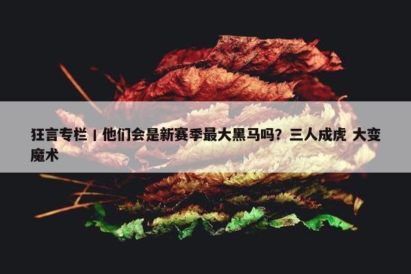 狂言专栏丨他们会是新赛季最大黑马吗？三人成虎 大变魔术