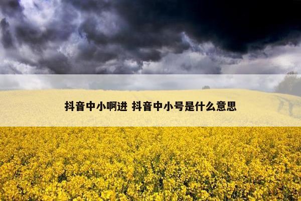 抖音中小啊进 抖音中小号是什么意思