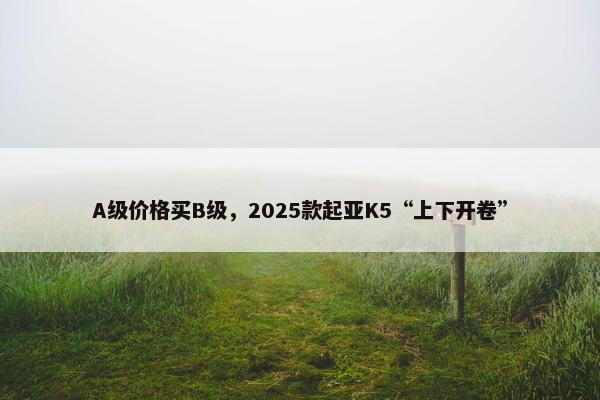 A级价格买B级，2025款起亚K5“上下开卷”