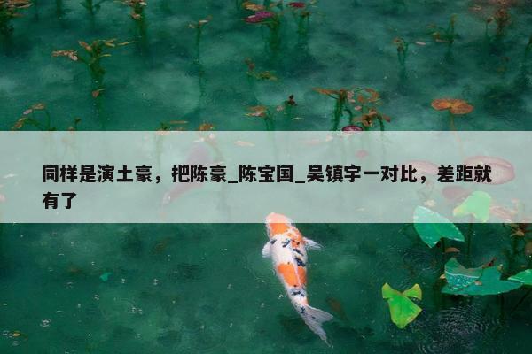 同样是演土豪，把陈豪_陈宝国_吴镇宇一对比，差距就有了