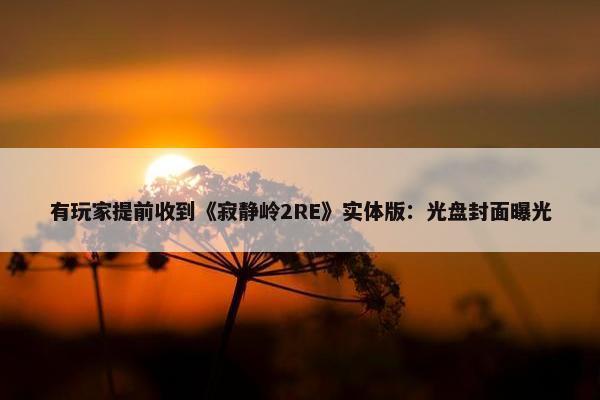 有玩家提前收到《寂静岭2RE》实体版：光盘封面曝光