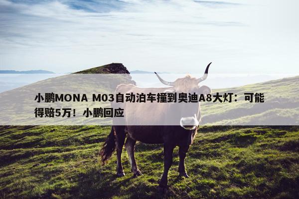 小鹏MONA M03自动泊车撞到奥迪A8大灯：可能得赔5万！小鹏回应