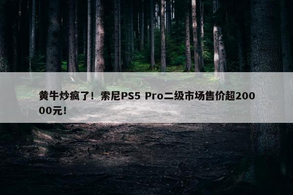 黄牛炒疯了！索尼PS5 Pro二级市场售价超20000元！