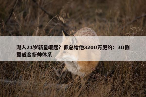 湖人21岁新星崛起？佩总给他3200万肥约：3D侧翼适合新帅体系