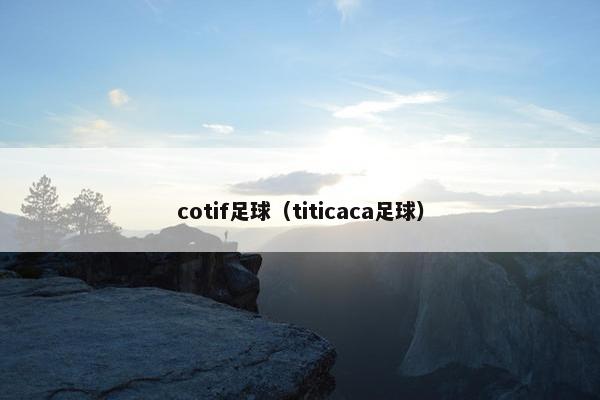 cotif足球（titicaca足球）