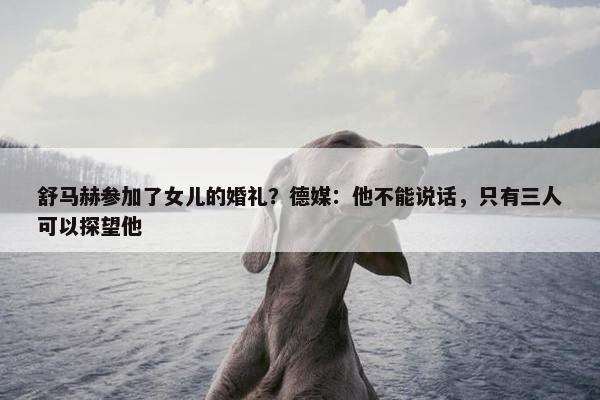 舒马赫参加了女儿的婚礼？德媒：他不能说话，只有三人可以探望他