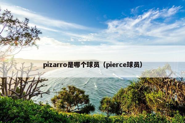 pizarro是哪个球员（pierce球员）