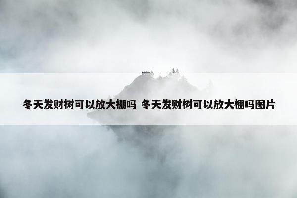 冬天发财树可以放大棚吗 冬天发财树可以放大棚吗图片