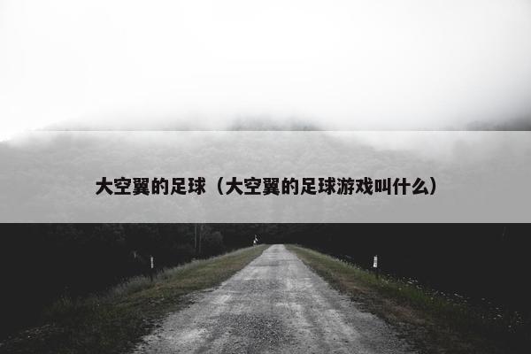 大空翼的足球（大空翼的足球游戏叫什么）