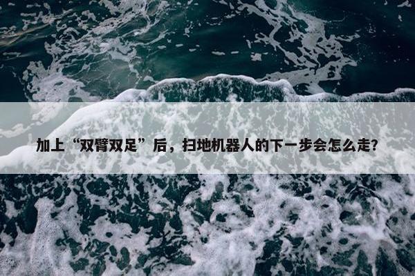 加上“双臂双足”后，扫地机器人的下一步会怎么走？