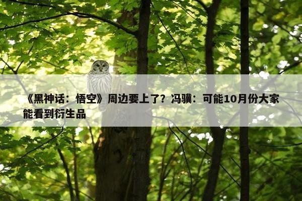 《黑神话：悟空》周边要上了？冯骥：可能10月份大家能看到衍生品