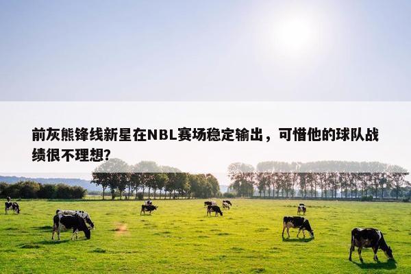 前灰熊锋线新星在NBL赛场稳定输出，可惜他的球队战绩很不理想？