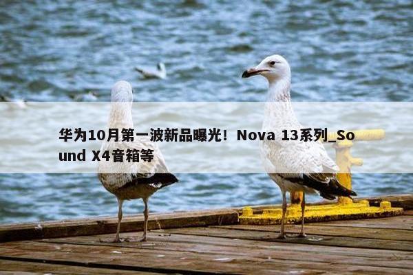 华为10月第一波新品曝光！Nova 13系列_Sound X4音箱等