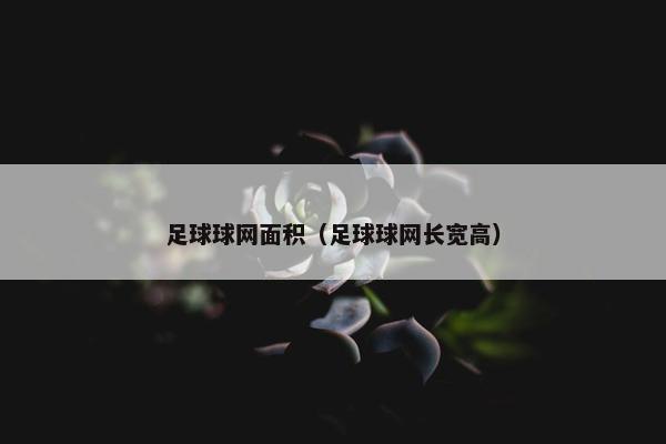 足球球网面积（足球球网长宽高）