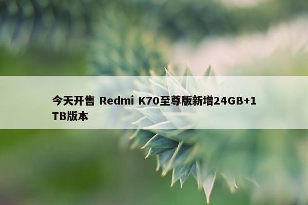 今天开售 Redmi K70至尊版新增24GB+1TB版本