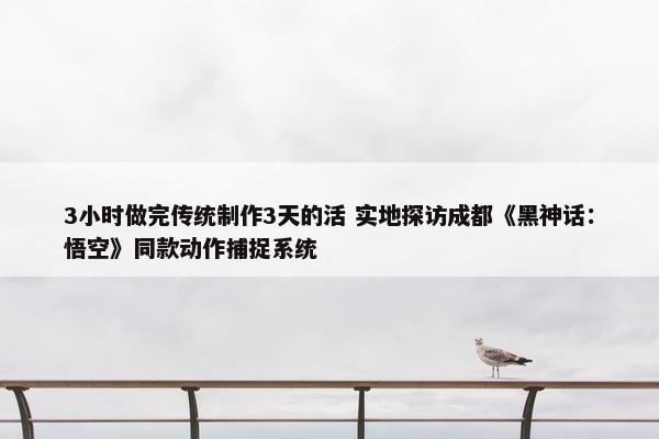 3小时做完传统制作3天的活 实地探访成都《黑神话：悟空》同款动作捕捉系统