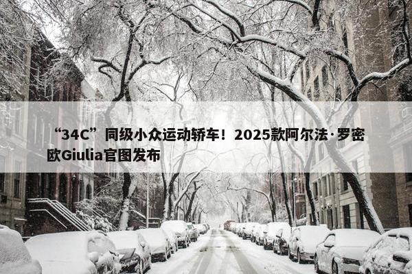 “34C”同级小众运动轿车！2025款阿尔法·罗密欧Giulia官图发布