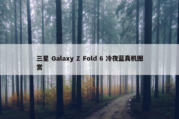 三星 Galaxy Z Fold 6 冷夜蓝真机图赏