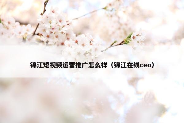 锦江短视频运营推广怎么样（锦江在线ceo）