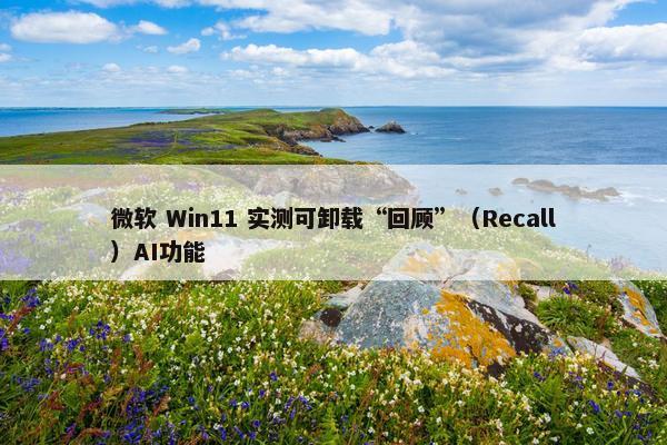 微软 Win11 实测可卸载“回顾”（Recall）AI功能