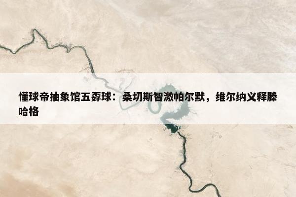 懂球帝抽象馆五孬球：桑切斯智激帕尔默，维尔纳义释滕哈格