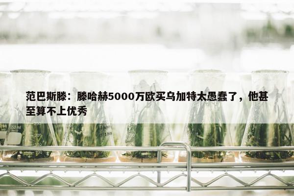 范巴斯滕：滕哈赫5000万欧买乌加特太愚蠢了，他甚至算不上优秀