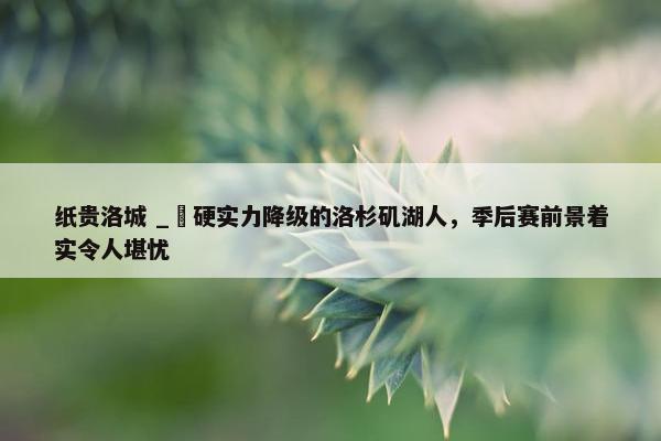 纸贵洛城 _ 硬实力降级的洛杉矶湖人，季后赛前景着实令人堪忧