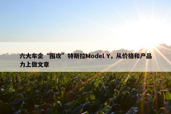 六大车企“围攻”特斯拉Model Y，从价格和产品力上做文章