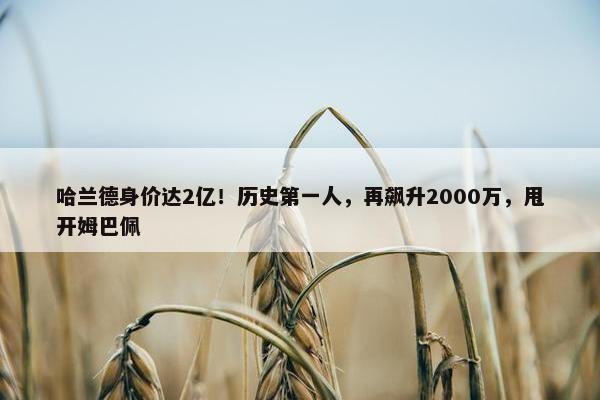 哈兰德身价达2亿！历史第一人，再飙升2000万，甩开姆巴佩