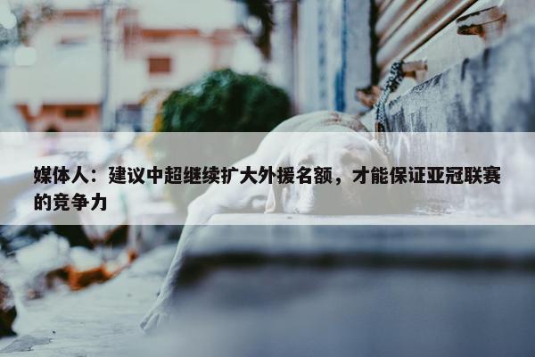 媒体人：建议中超继续扩大外援名额，才能保证亚冠联赛的竞争力