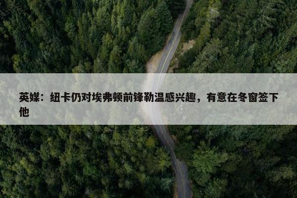 英媒：纽卡仍对埃弗顿前锋勒温感兴趣，有意在冬窗签下他