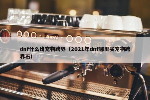 dnf什么出宠物跨界（2021年dnf哪里买宠物跨界石）