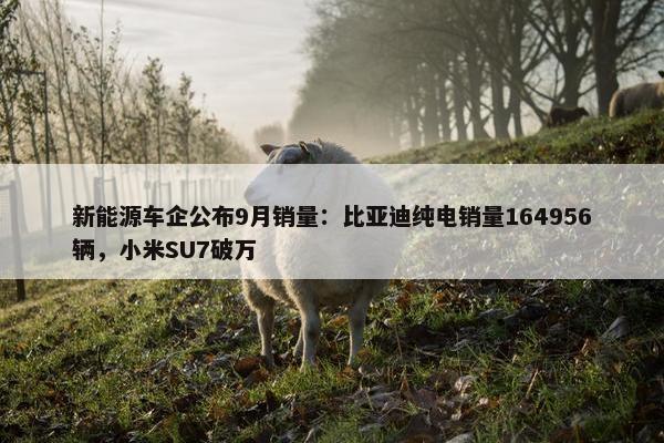 新能源车企公布9月销量：比亚迪纯电销量164956辆，小米SU7破万