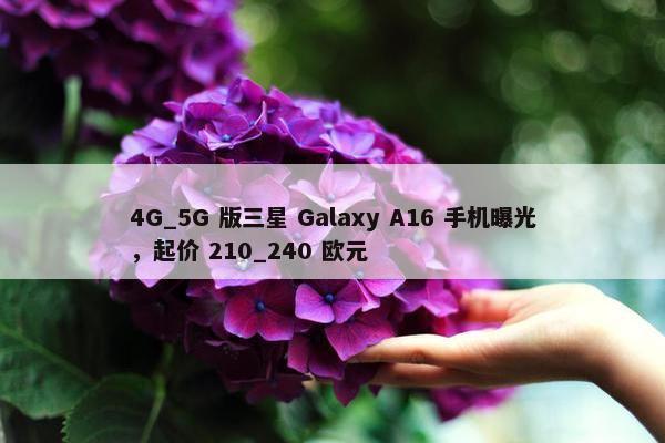 4G_5G 版三星 Galaxy A16 手机曝光，起价 210_240 欧元