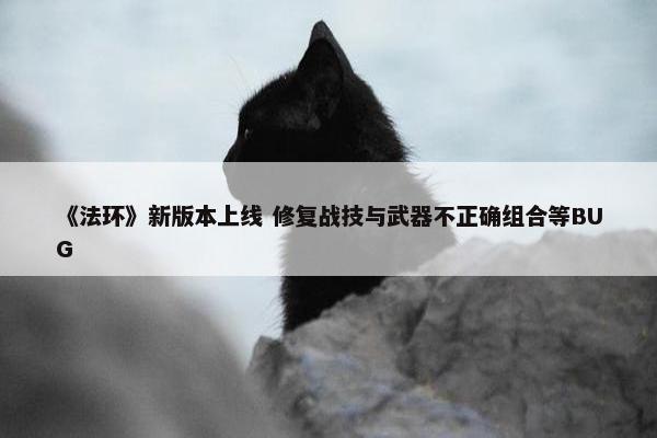 《法环》新版本上线 修复战技与武器不正确组合等BUG