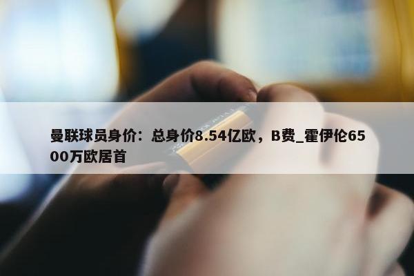 曼联球员身价：总身价8.54亿欧，B费_霍伊伦6500万欧居首